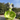 Charming Bunny Fairy Cabbage Decor - getTohfa.