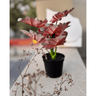 Colored Leaves Artificial Planter - getTohfa.