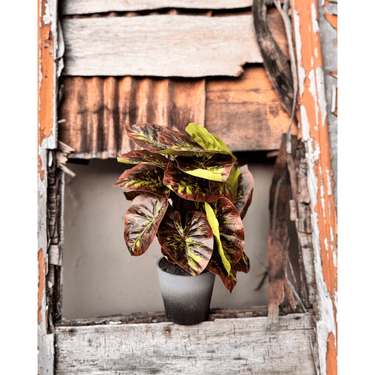 Colored Leaves Artificial Planter - getTohfa.