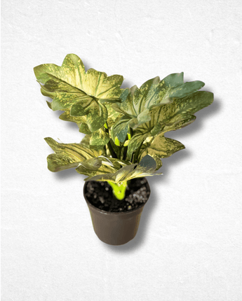 Colored Leaves Artificial Planter - getTohfa.