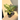 Colored Leaves Artificial Planter - getTohfa.