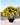 Curved Artificial Bonsai Tree – Elegant Home & Office Décor - getTohfa.