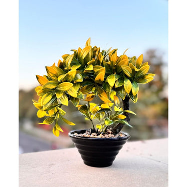 Curved Artificial Bonsai Tree – Elegant Home & Office Décor - getTohfa.