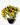 Curved Artificial Bonsai Tree – Elegant Home & Office Décor - getTohfa.