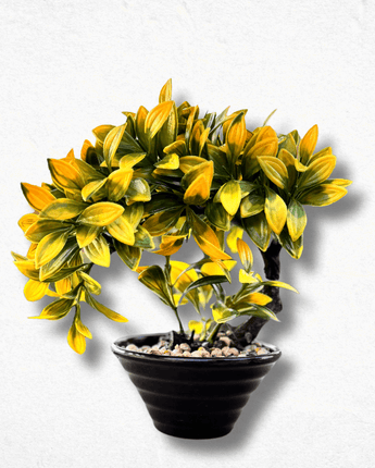 Curved Artificial Bonsai Tree – Elegant Home & Office Décor - getTohfa.