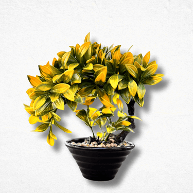 Curved Artificial Bonsai Tree – Elegant Home & Office Décor - getTohfa.