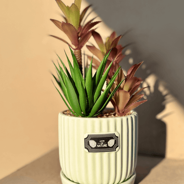 Heavy Ceramic Vase Artificial Planters – Elegant & Sturdy Greenery - getTohfa.