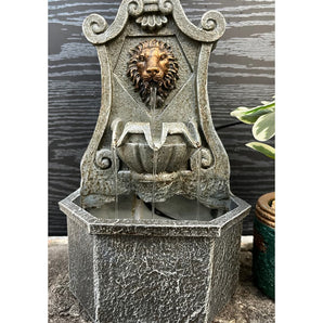 Lion Head Wall Fountain with Single Spout - Lion Face Water Fountain - getTohfa.