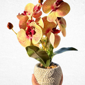 Eternal Bloom Orchid Artificial Planter with Heavy Ceramic Base