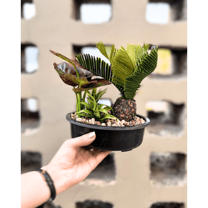 Pineapple Artificial Planter – Stylish Tropical Decor for Home & Office - getTohfa.