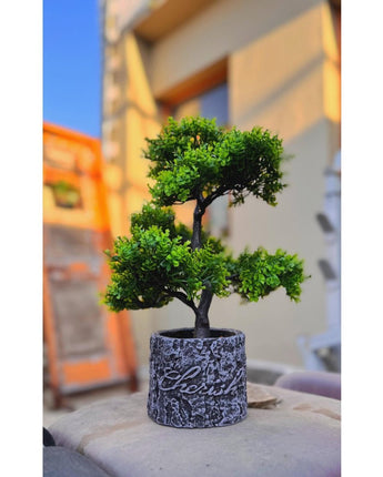 Serene Bonsai Bliss – Artificial Bonsai Tree Planter - getTohfa.