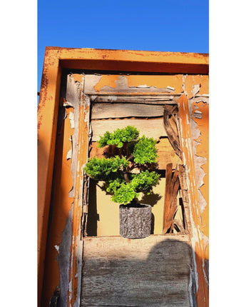 Serene Bonsai Bliss – Artificial Bonsai Tree Planter - getTohfa.