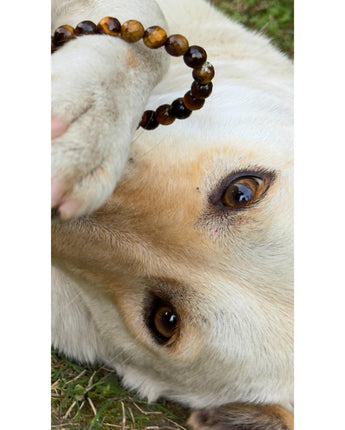 Tiger Eye Bracelet – Unlock Strength, Confidence & Protection - getTohfa.