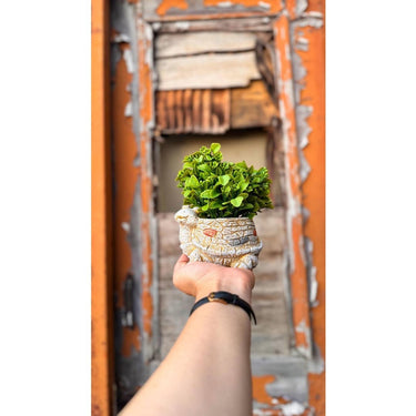 Tortoise Vase Artificial Planter – Unique Home & Office Décor - getTohfa.