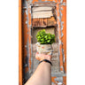 Tortoise Vase Artificial Planter – Unique Home & Office Décor - getTohfa.