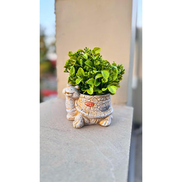Tortoise Vase Artificial Planter – Unique Home & Office Décor - getTohfa.