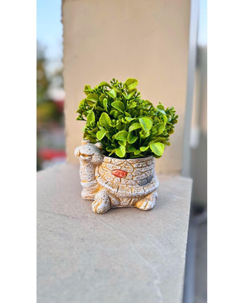Tortoise Vase Artificial Planter – Unique Home & Office Décor - getTohfa.