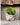 Tortoise Vase Artificial Planter – Unique Home & Office Décor - getTohfa.