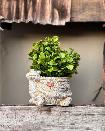 Tortoise Vase Artificial Planter – Unique Home & Office Décor - getTohfa.