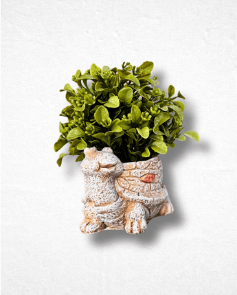 Tortoise Vase Artificial Planter – Unique Home & Office Décor - getTohfa.