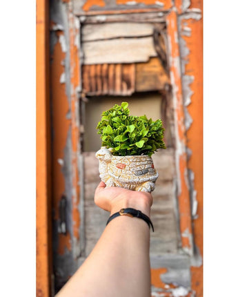 Tortoise Vase Artificial Planter – Unique Home & Office Décor - getTohfa.